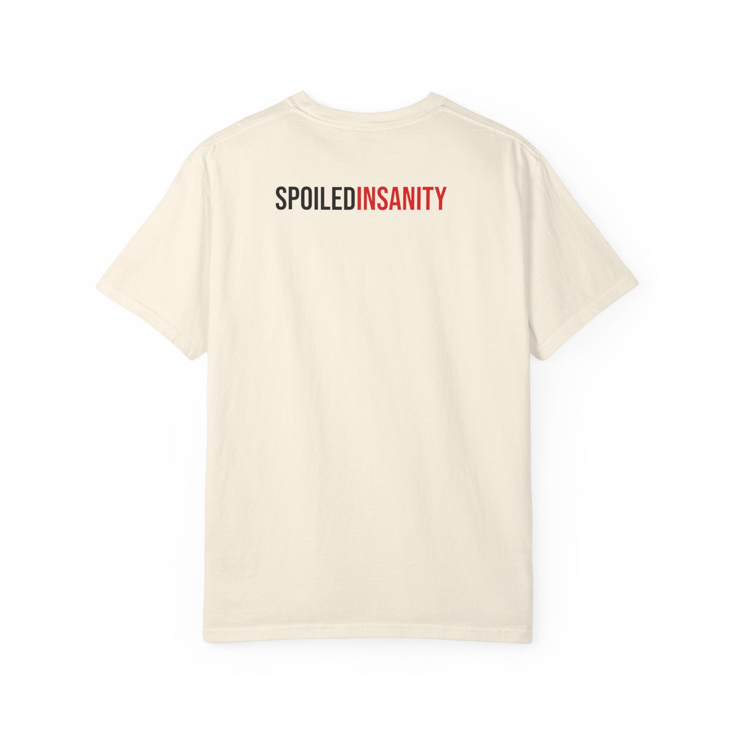 Funny Inspirational T-Shirt