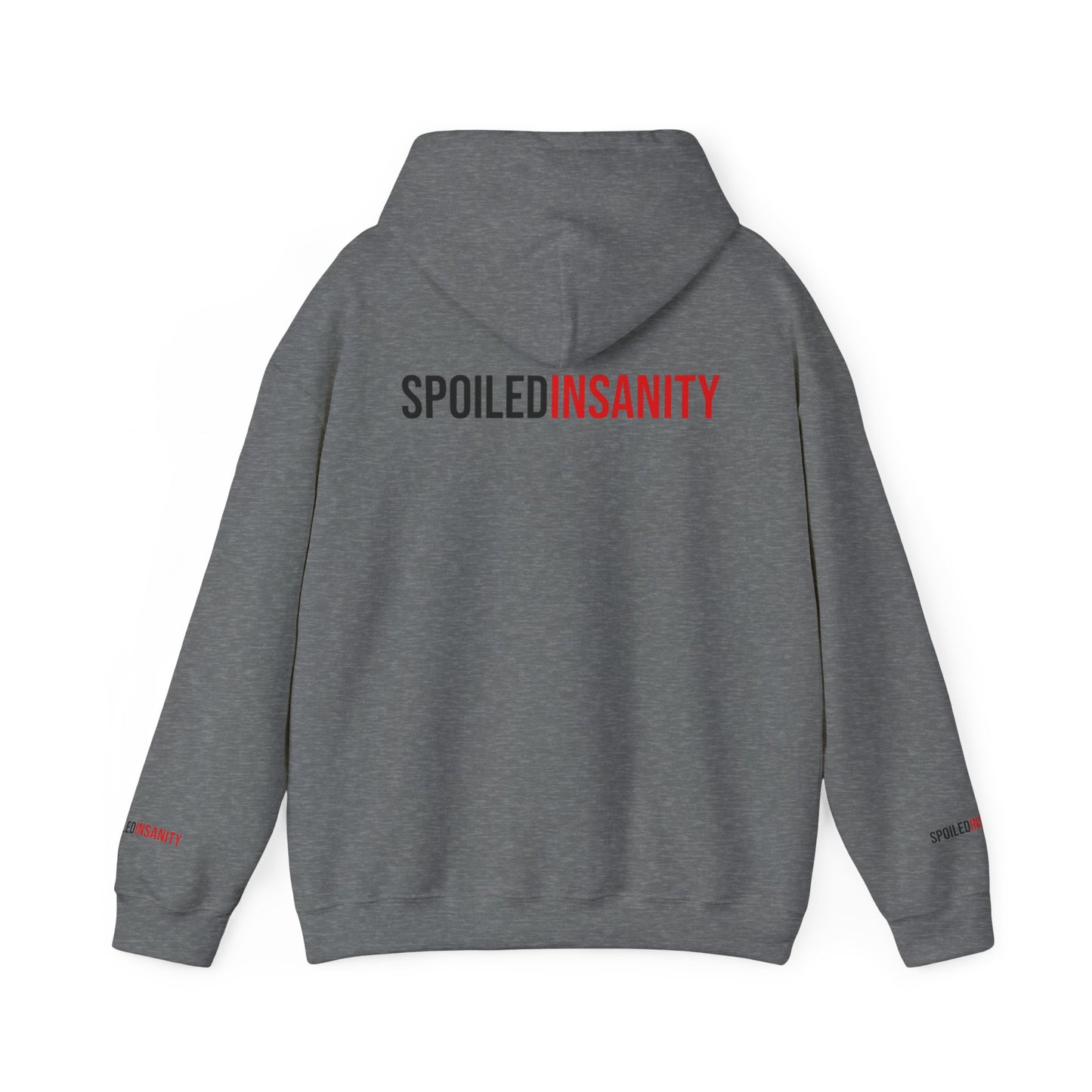 Spoiled Insanity Unisex Hoodie – Comfy Streetwear for Everyday Vibes