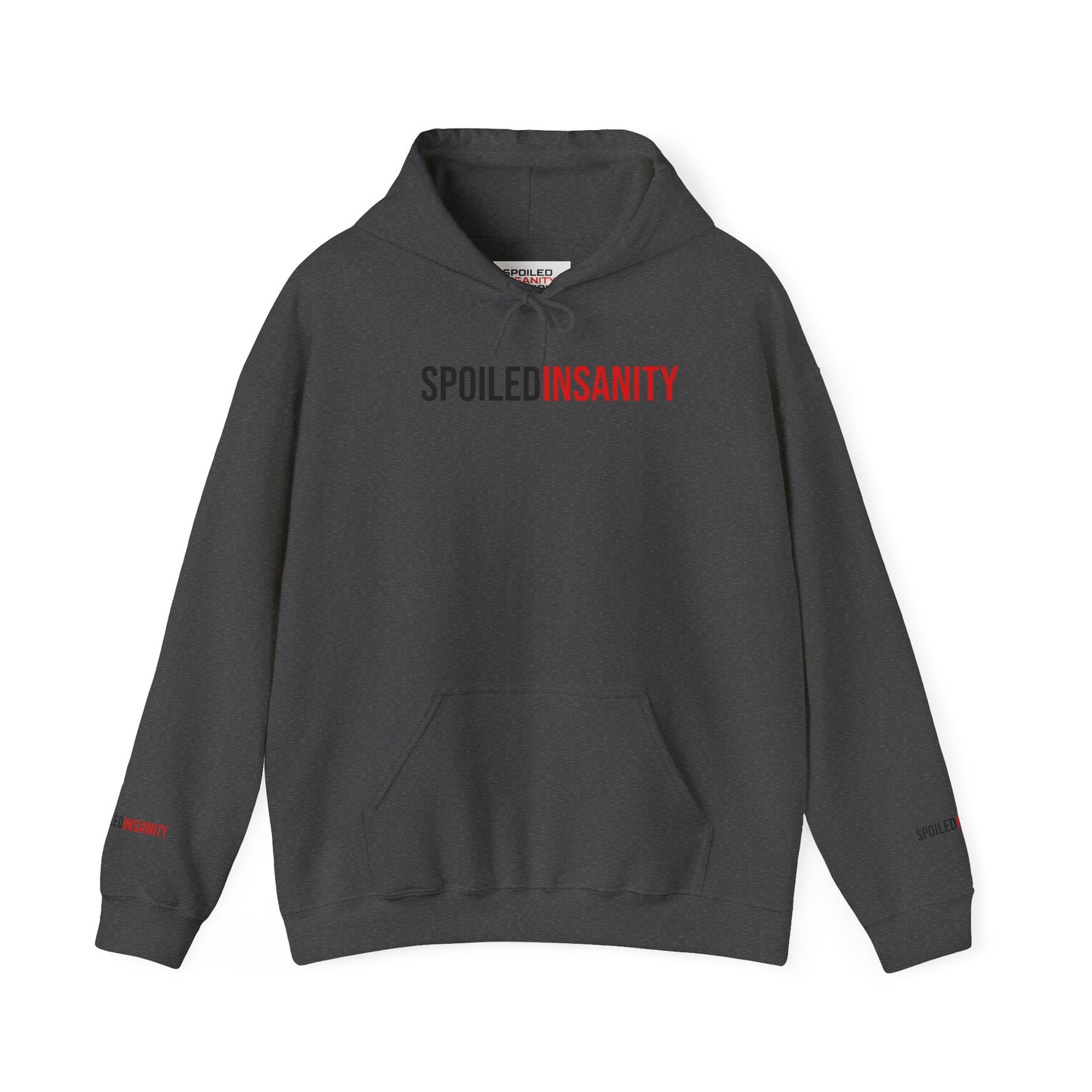 Spoiled Insanity Unisex Hoodie – Comfy Streetwear for Everyday Vibes