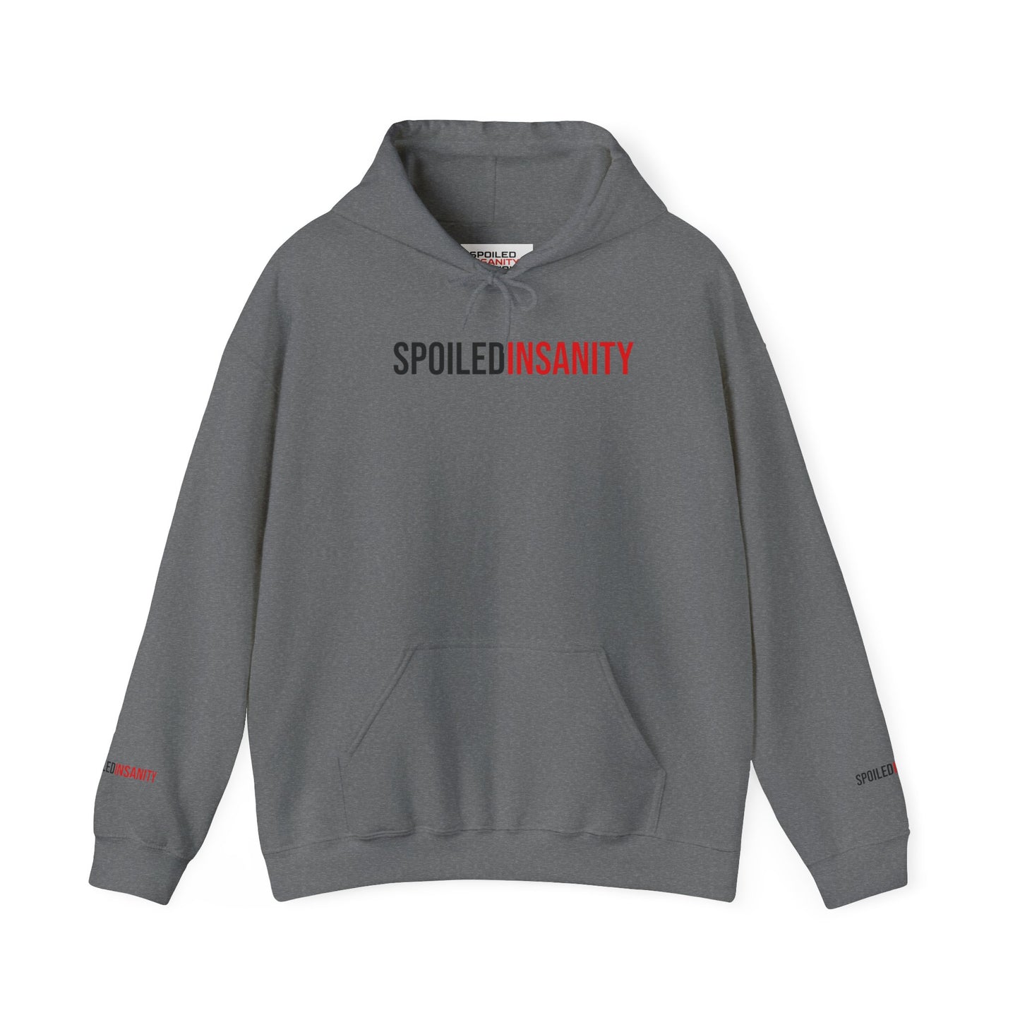Spoiled Insanity Unisex Hoodie – Comfy Streetwear for Everyday Vibes
