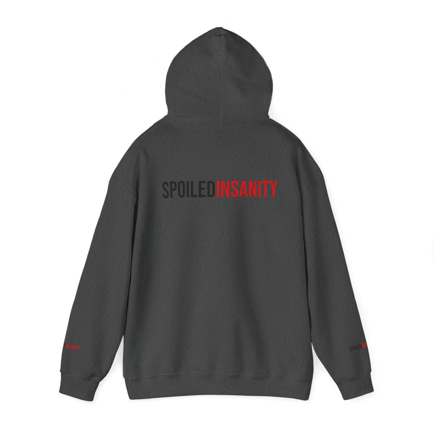 Spoiled Insanity Unisex Hoodie – Comfy Streetwear for Everyday Vibes