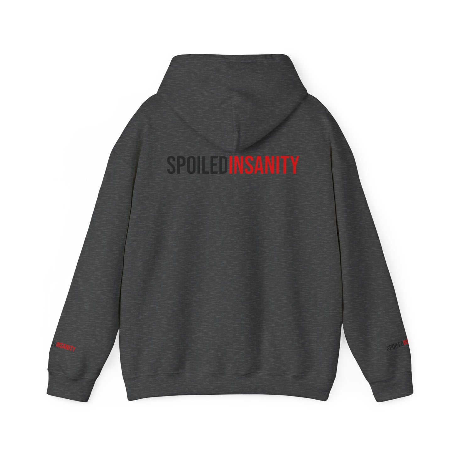 Spoiled Insanity Unisex Hoodie – Comfy Streetwear for Everyday Vibes