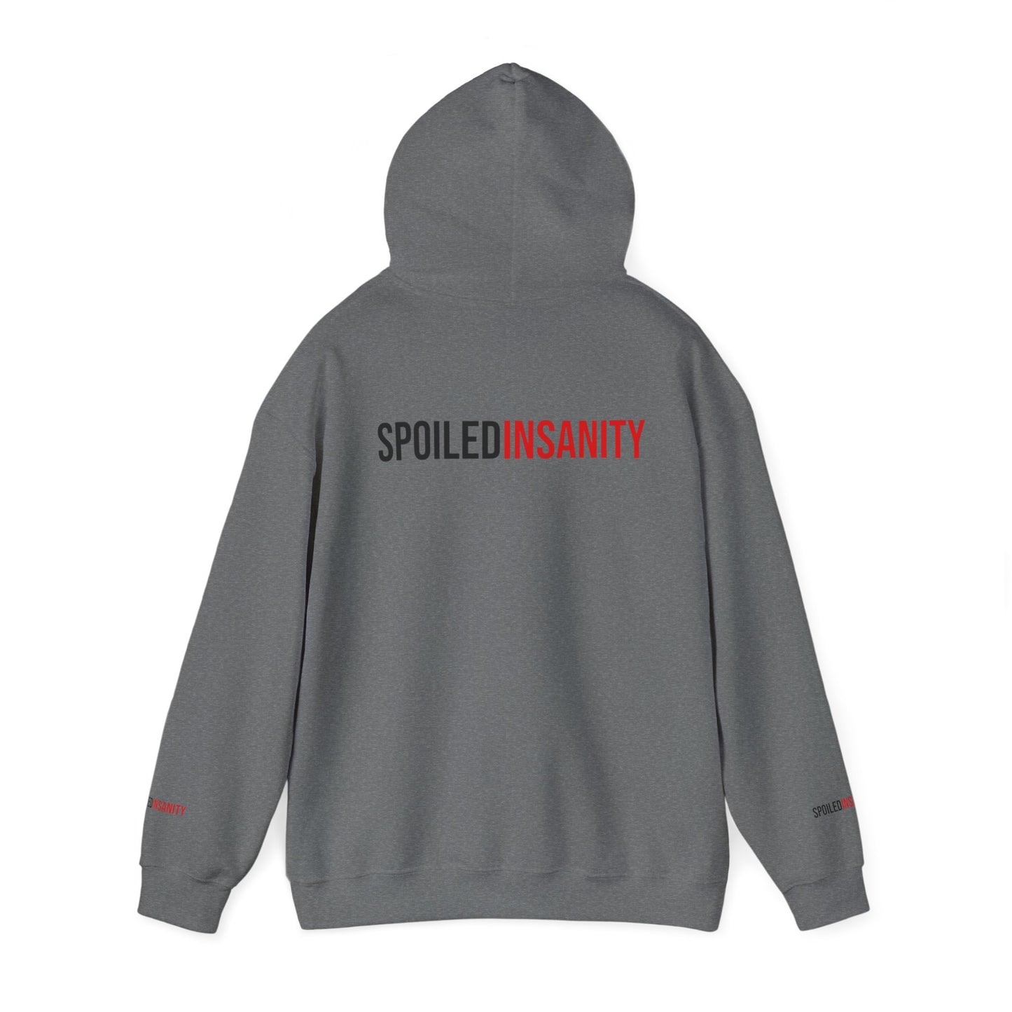 Spoiled Insanity Unisex Hoodie – Comfy Streetwear for Everyday Vibes