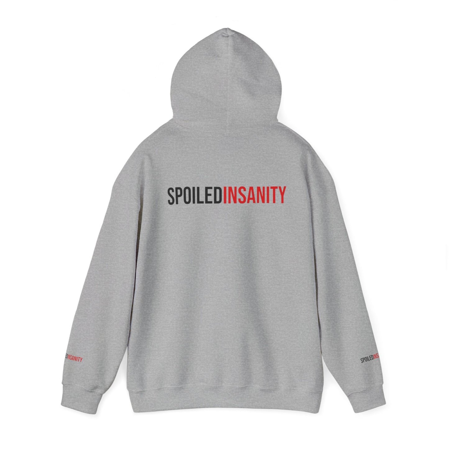 Spoiled Insanity Unisex Hoodie – Comfy Streetwear for Everyday Vibes