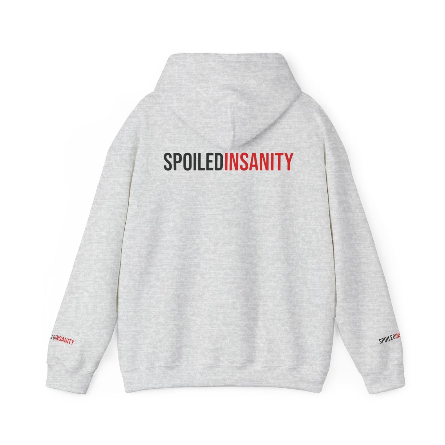 Spoiled Insanity Unisex Hoodie – Comfy Streetwear for Everyday Vibes