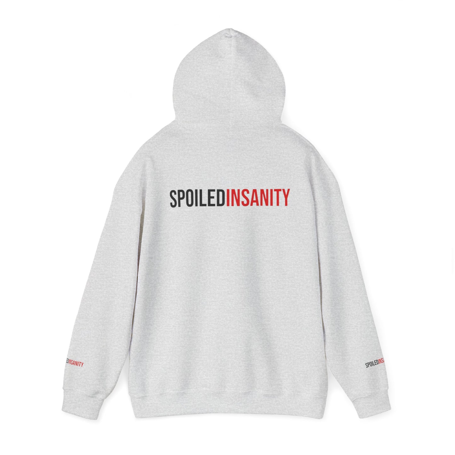 Spoiled Insanity Unisex Hoodie – Comfy Streetwear for Everyday Vibes