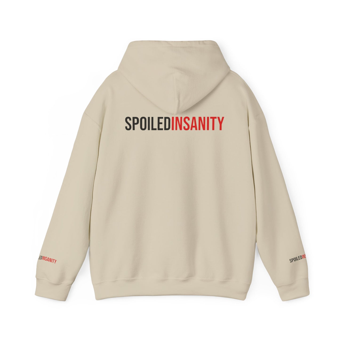 Spoiled Insanity Unisex Hoodie – Comfy Streetwear for Everyday Vibes