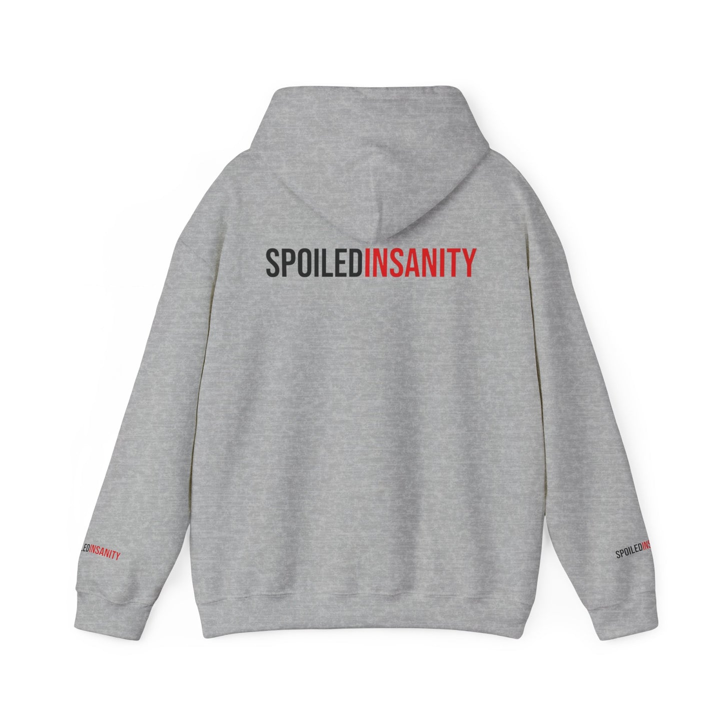 Spoiled Insanity Unisex Hoodie – Comfy Streetwear for Everyday Vibes